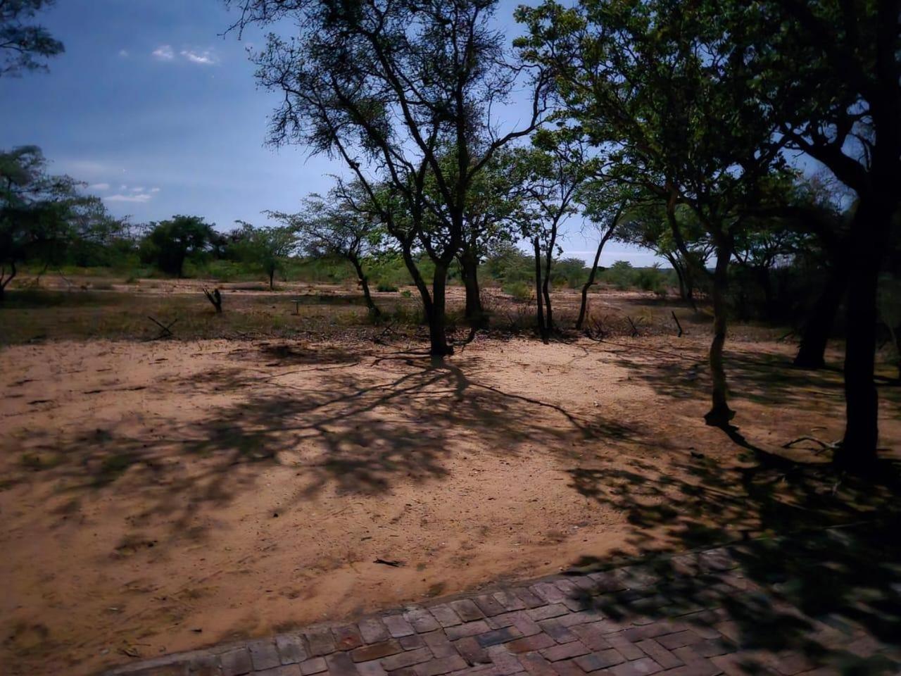 Kigeni Safari Lodge & Spa 法尔瓦特 外观 照片