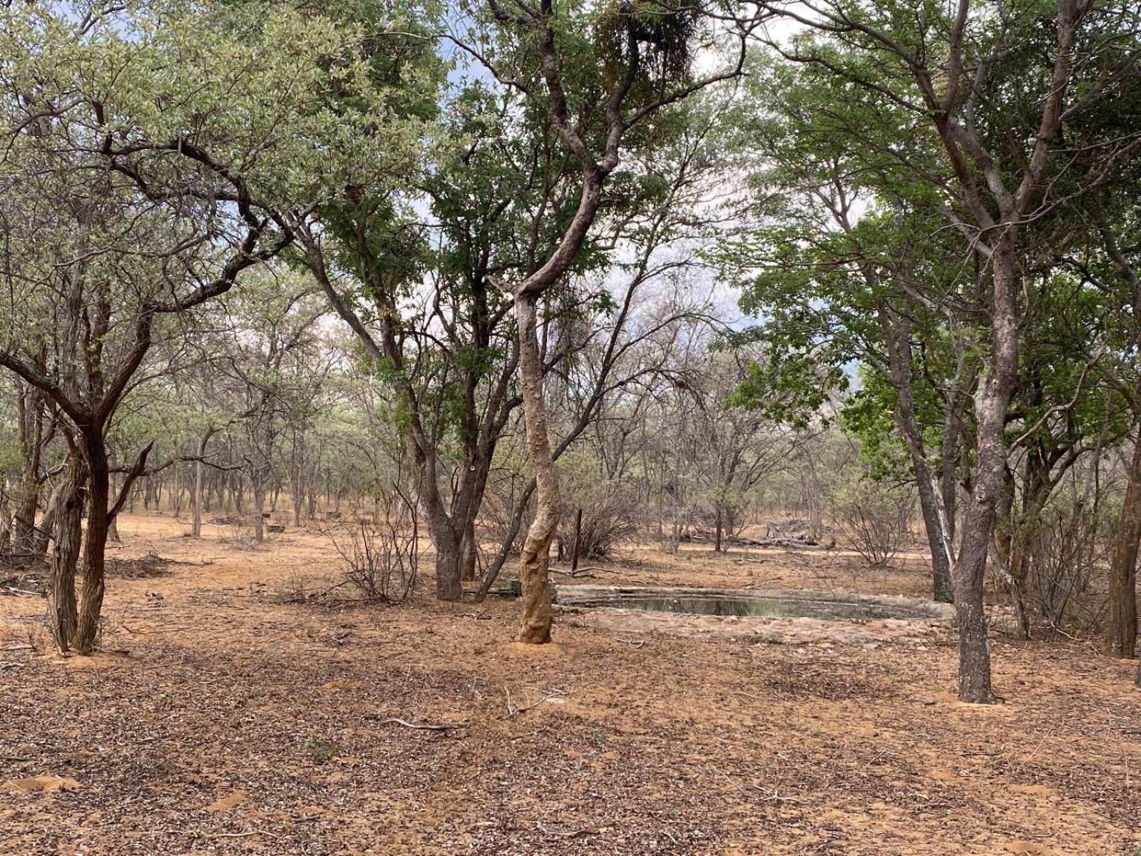 Kigeni Safari Lodge & Spa 法尔瓦特 客房 照片