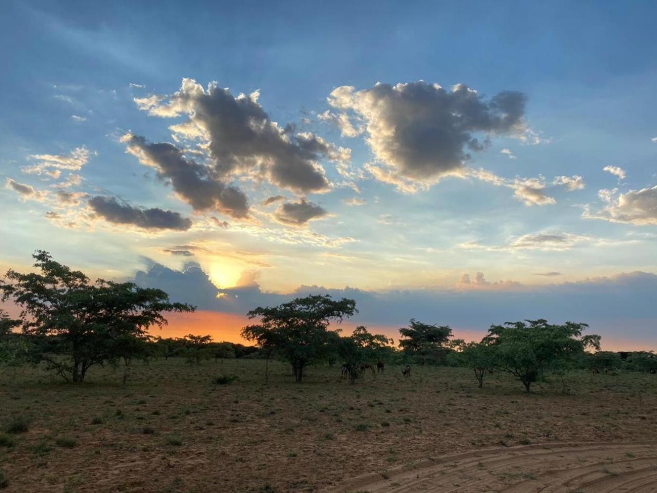Kigeni Safari Lodge & Spa 法尔瓦特 外观 照片