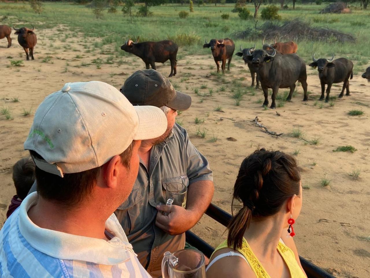 Kigeni Safari Lodge & Spa 法尔瓦特 外观 照片