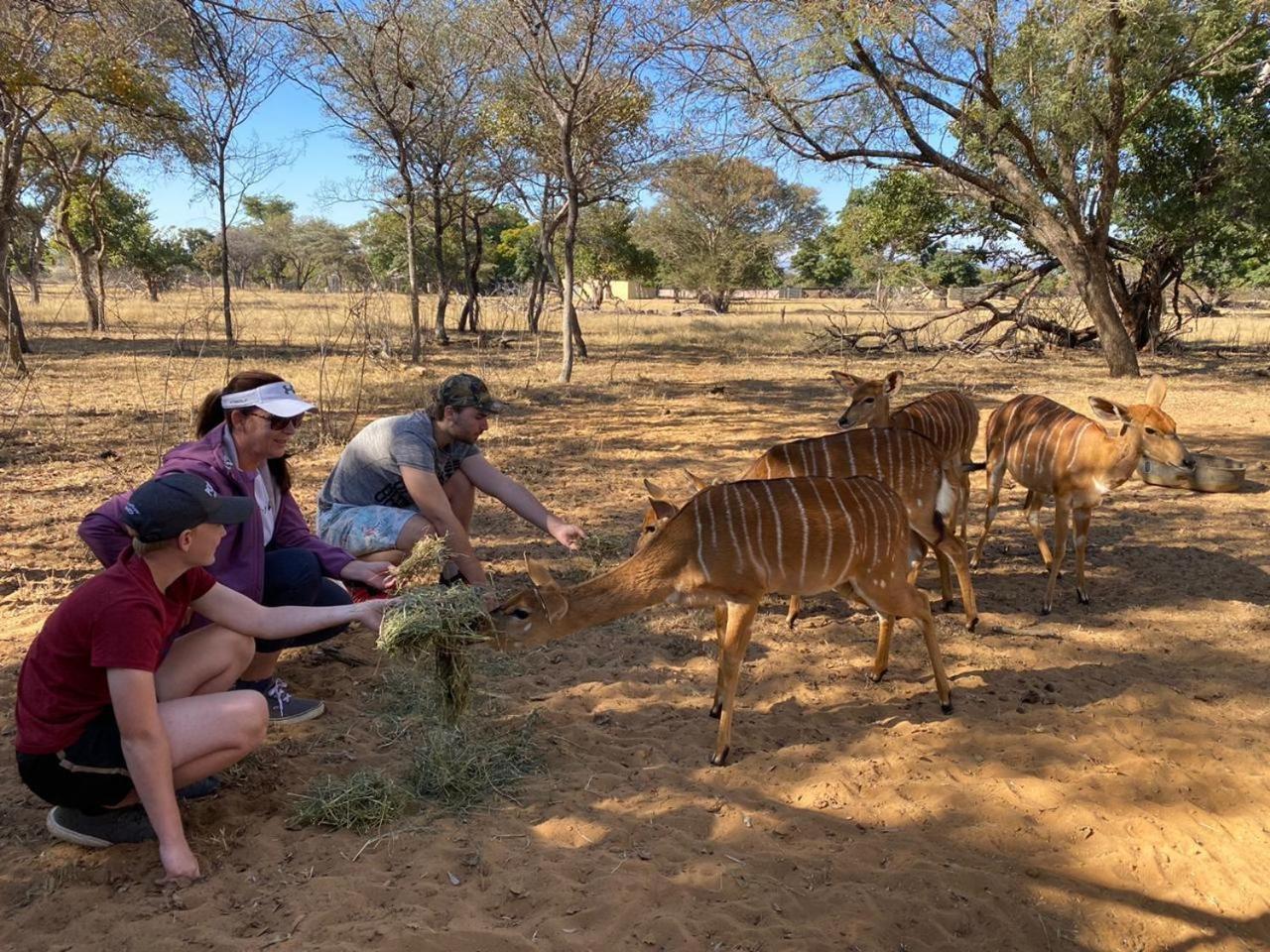 Kigeni Safari Lodge & Spa 法尔瓦特 外观 照片