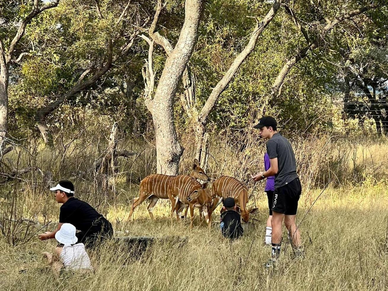 Kigeni Safari Lodge & Spa 法尔瓦特 外观 照片